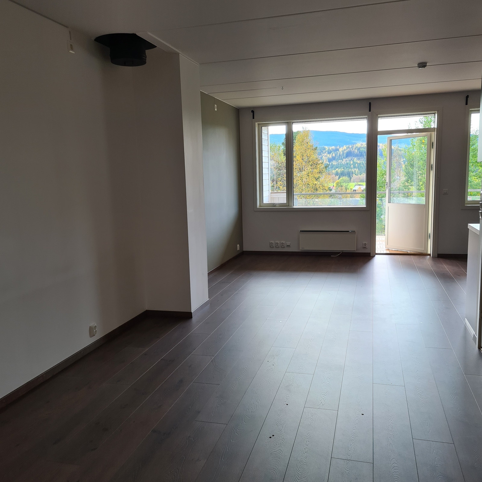 Stue Galleribilde