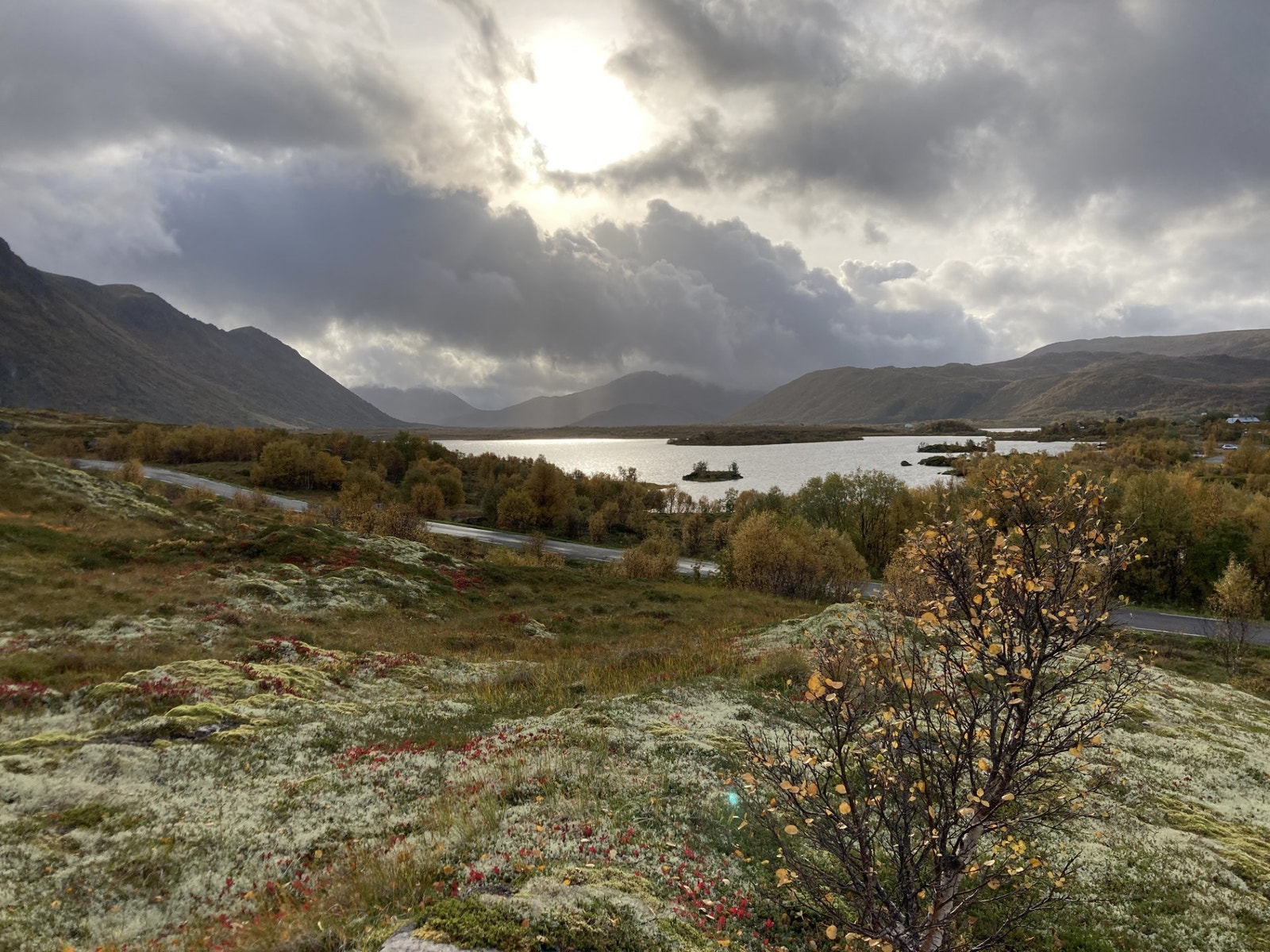 Utsikt over området Galleribilde