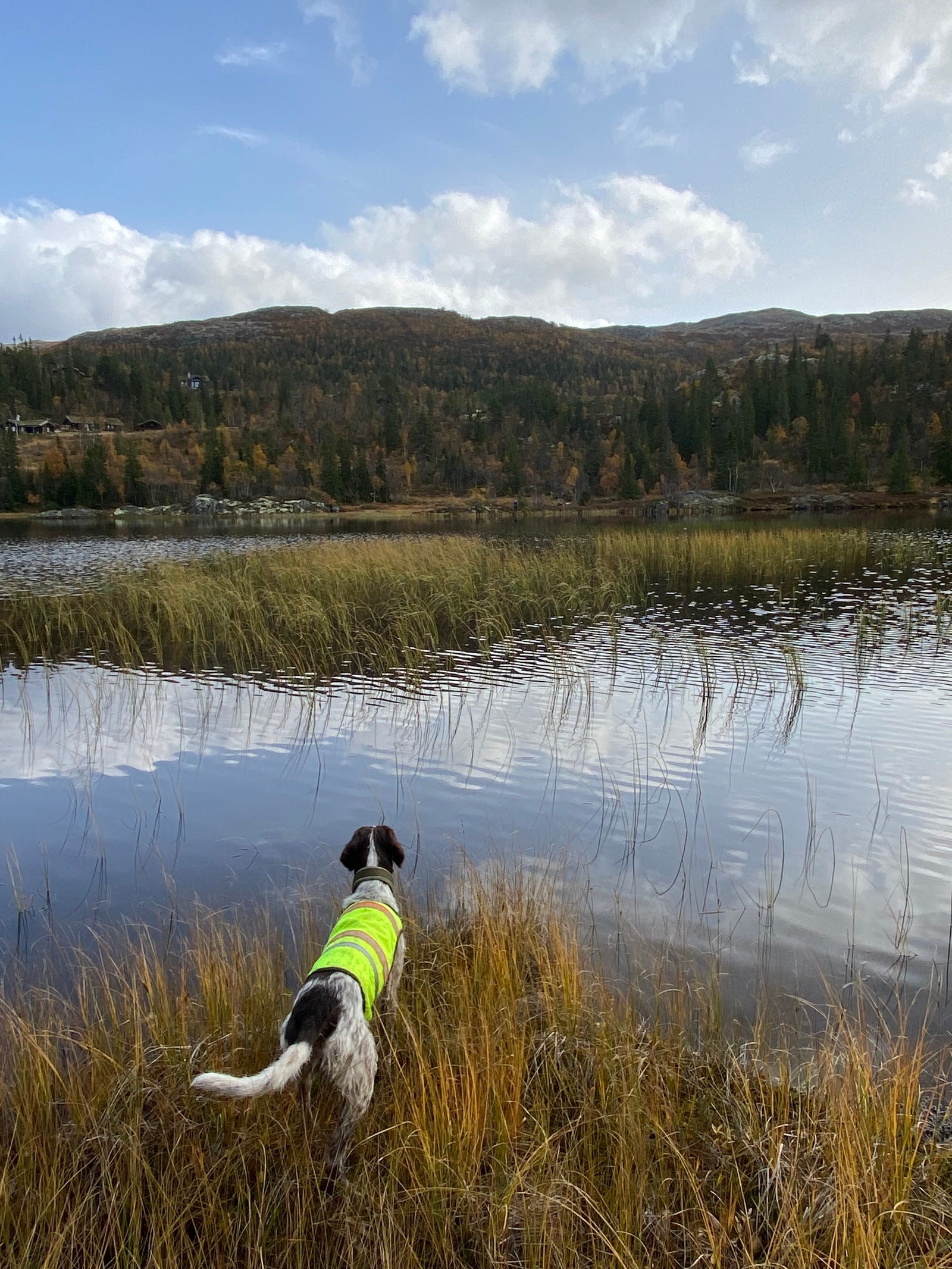 Flotte turområder m/ fiskevann Galleribilde