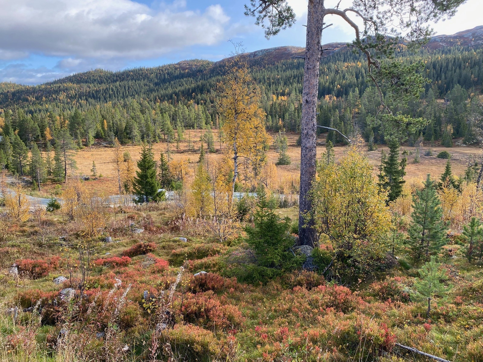 Tur & skiterreng Galleribilde