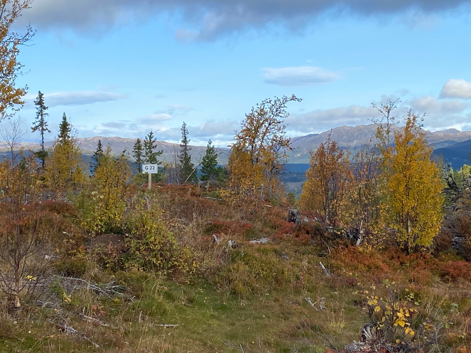 Tomt nr. 22 Galleribilde