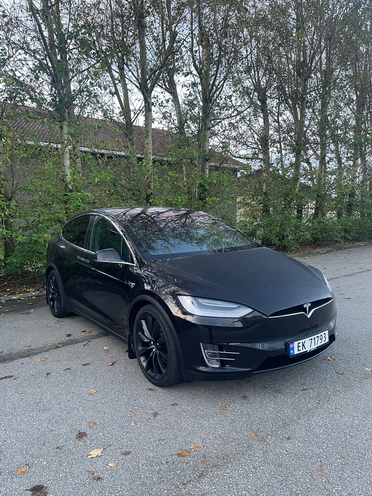 Tesla Model X 1