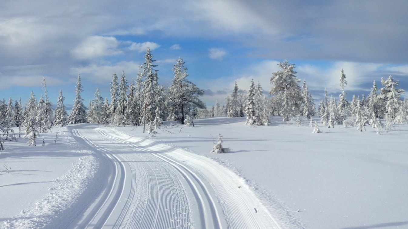 Nordmarka vinter Galleribilde