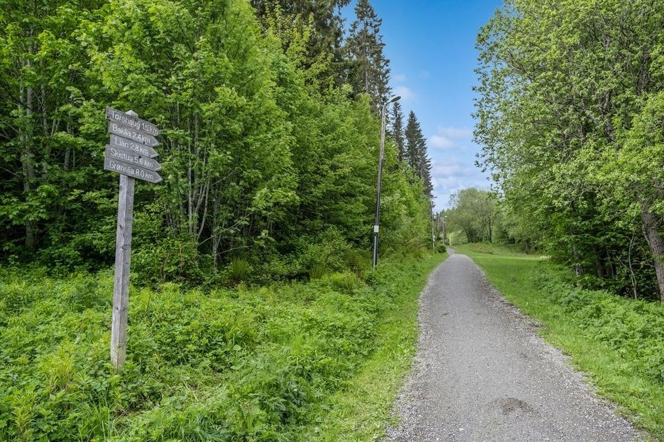 Tursti i Bymarka på andre siden av gaten. Galleribilde