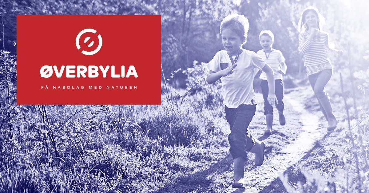 Øverbylia - i ett med naturen Galleribilde