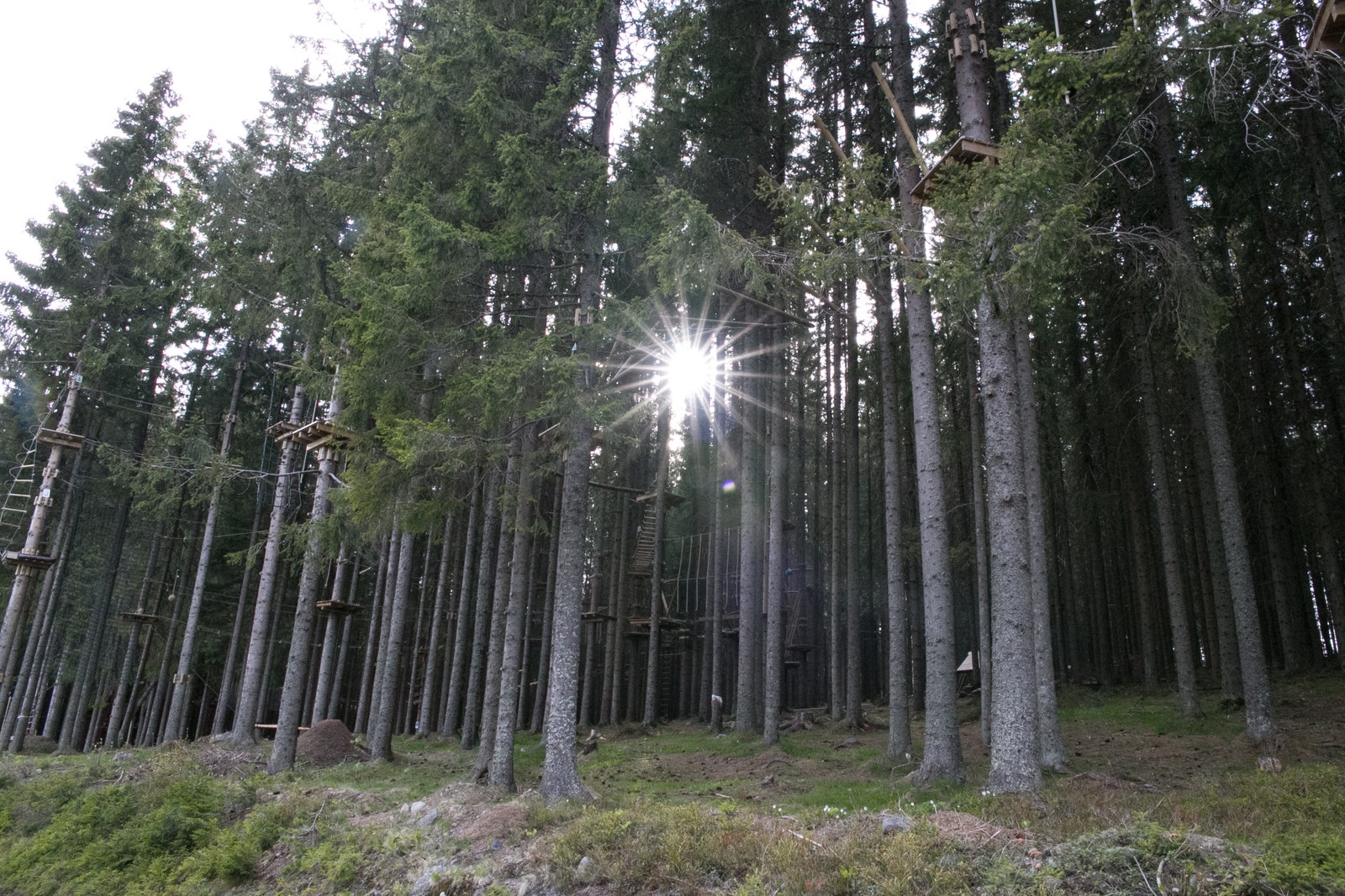 Klatrepark aktivitetstilbud i nærområdet Galleribilde