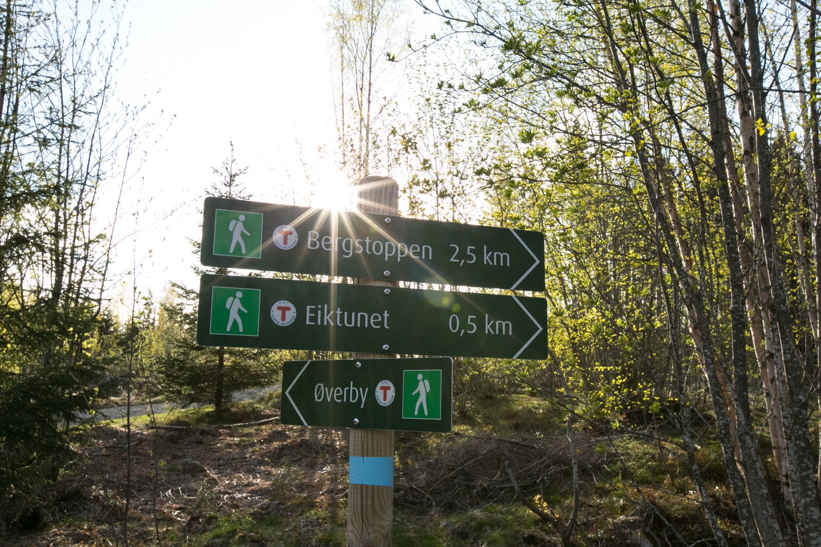 Det er flotte tur og skiløyper i nærområdet Galleribilde