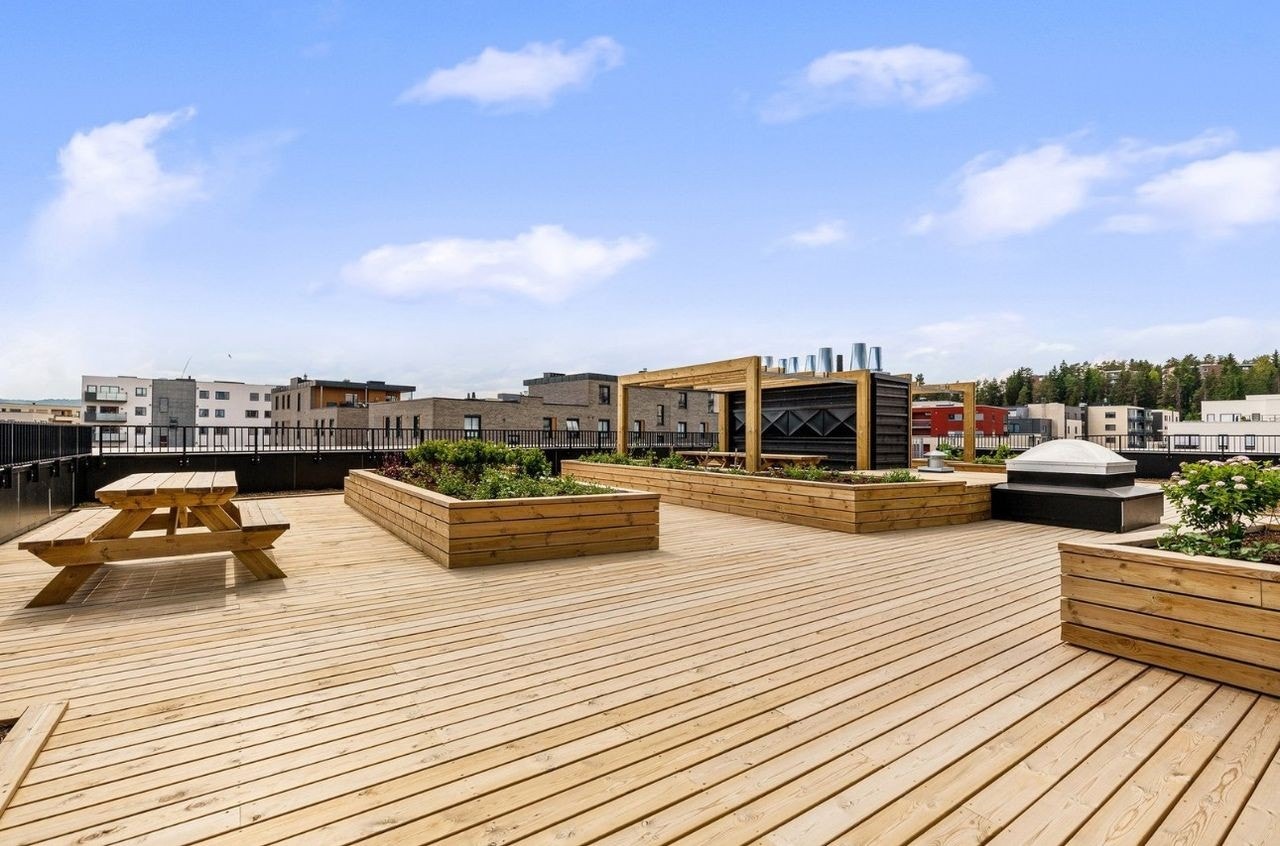 Felles takterasse Galleribilde