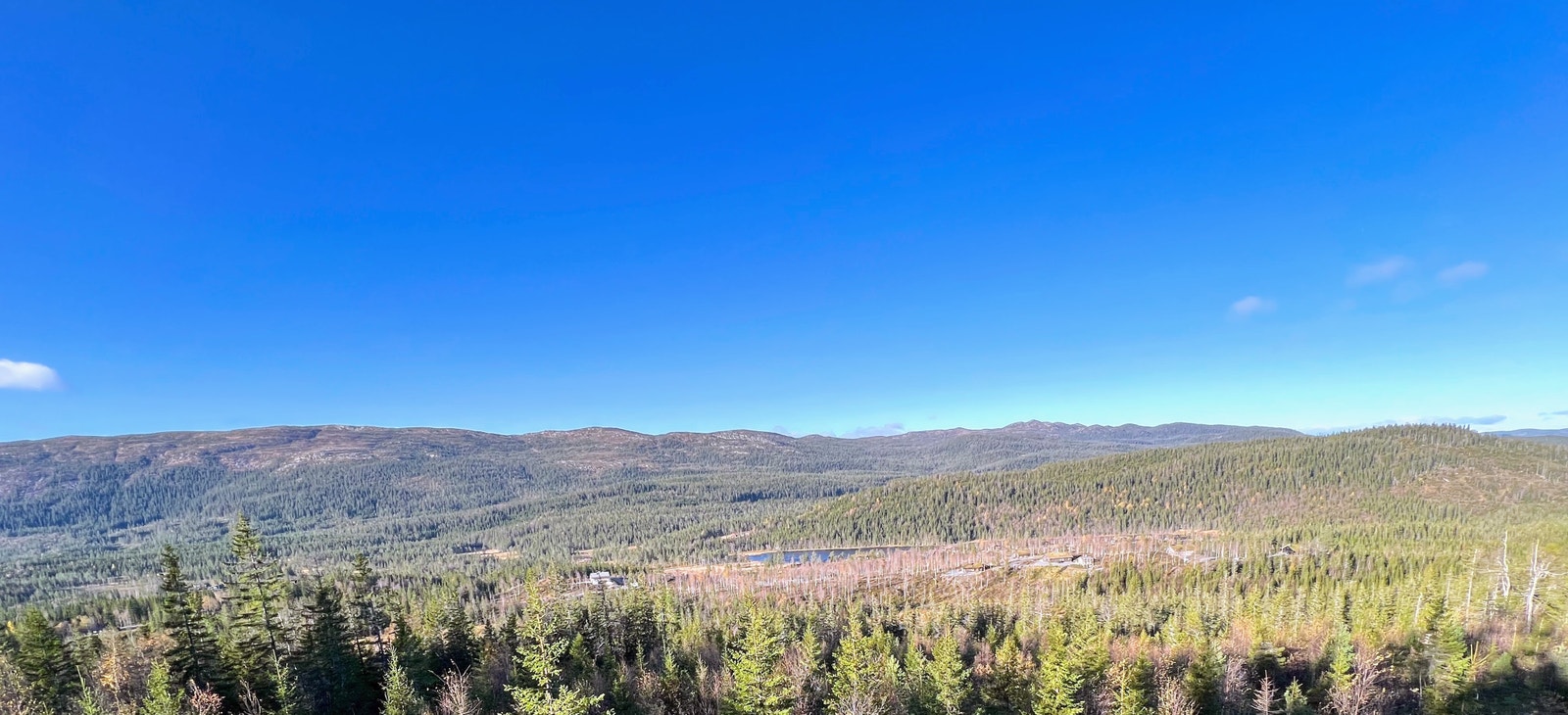 Panoramabilde som viser hyttefeltet, litt av Killingtjern og Vikerfjell Galleribilde