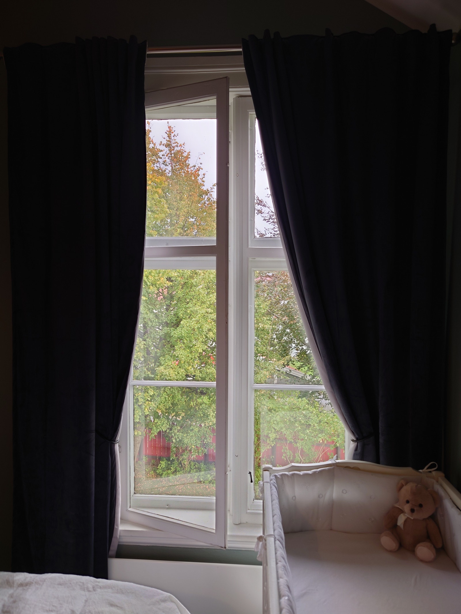 Vindu mot hage Galleribilde