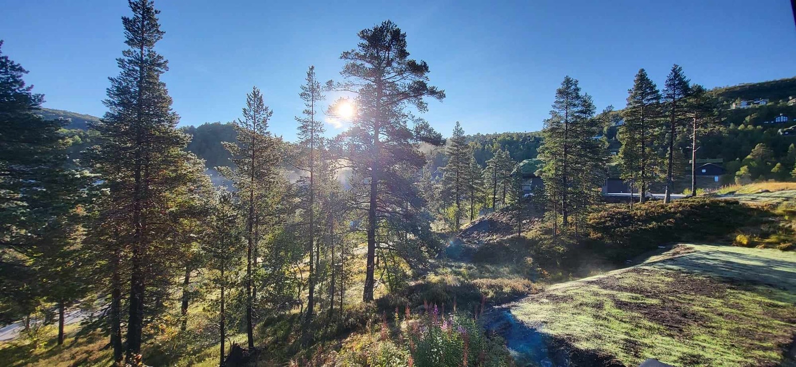 Morgensol Galleribilde