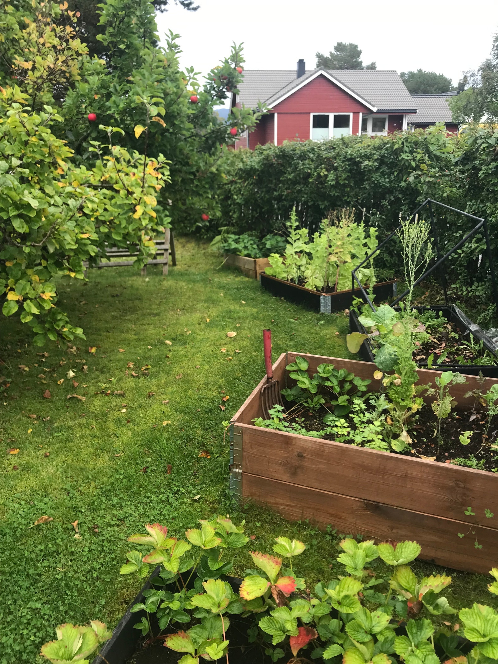 hage med plantekasser Galleribilde