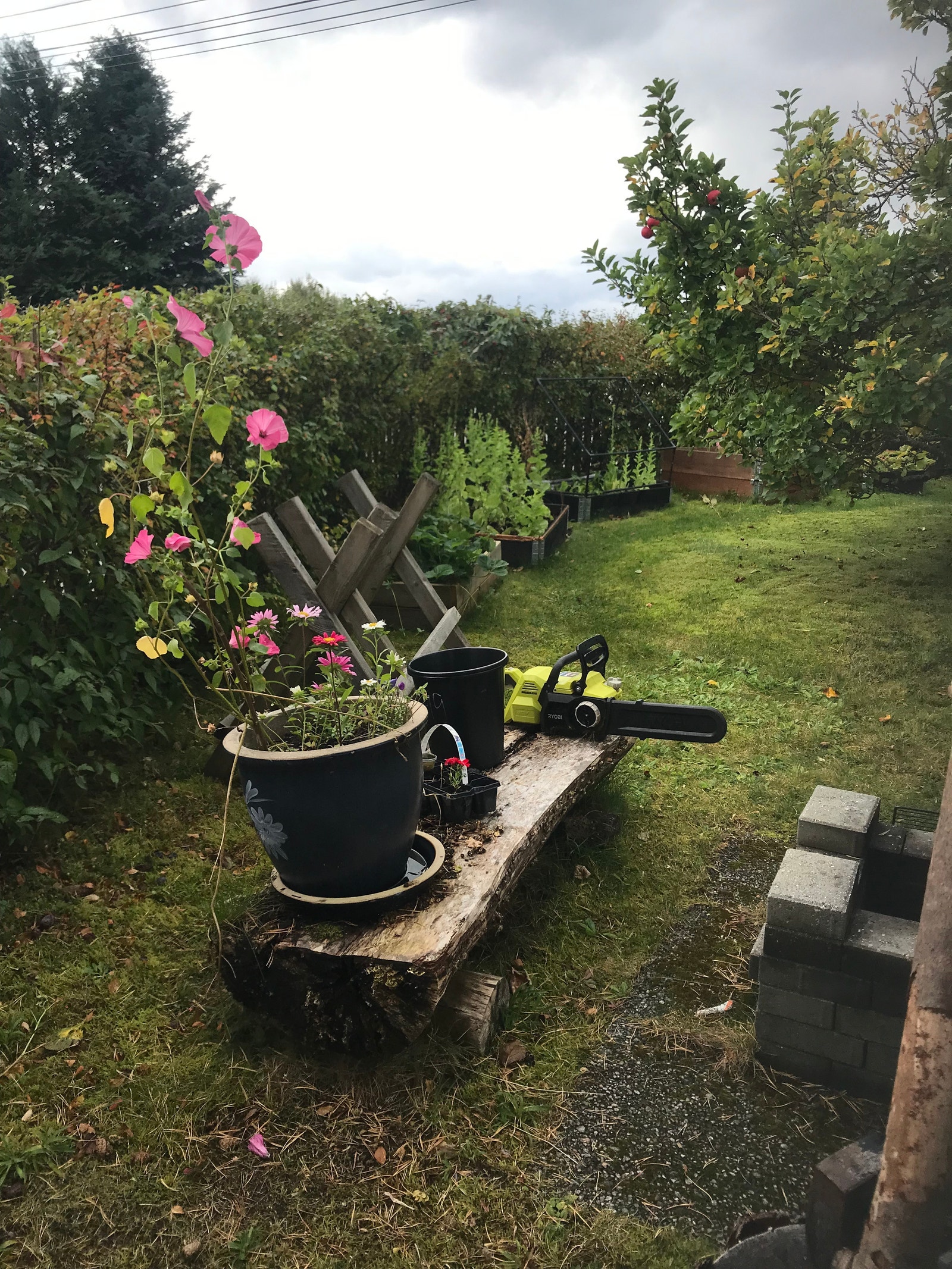 Ute grillplass Galleribilde