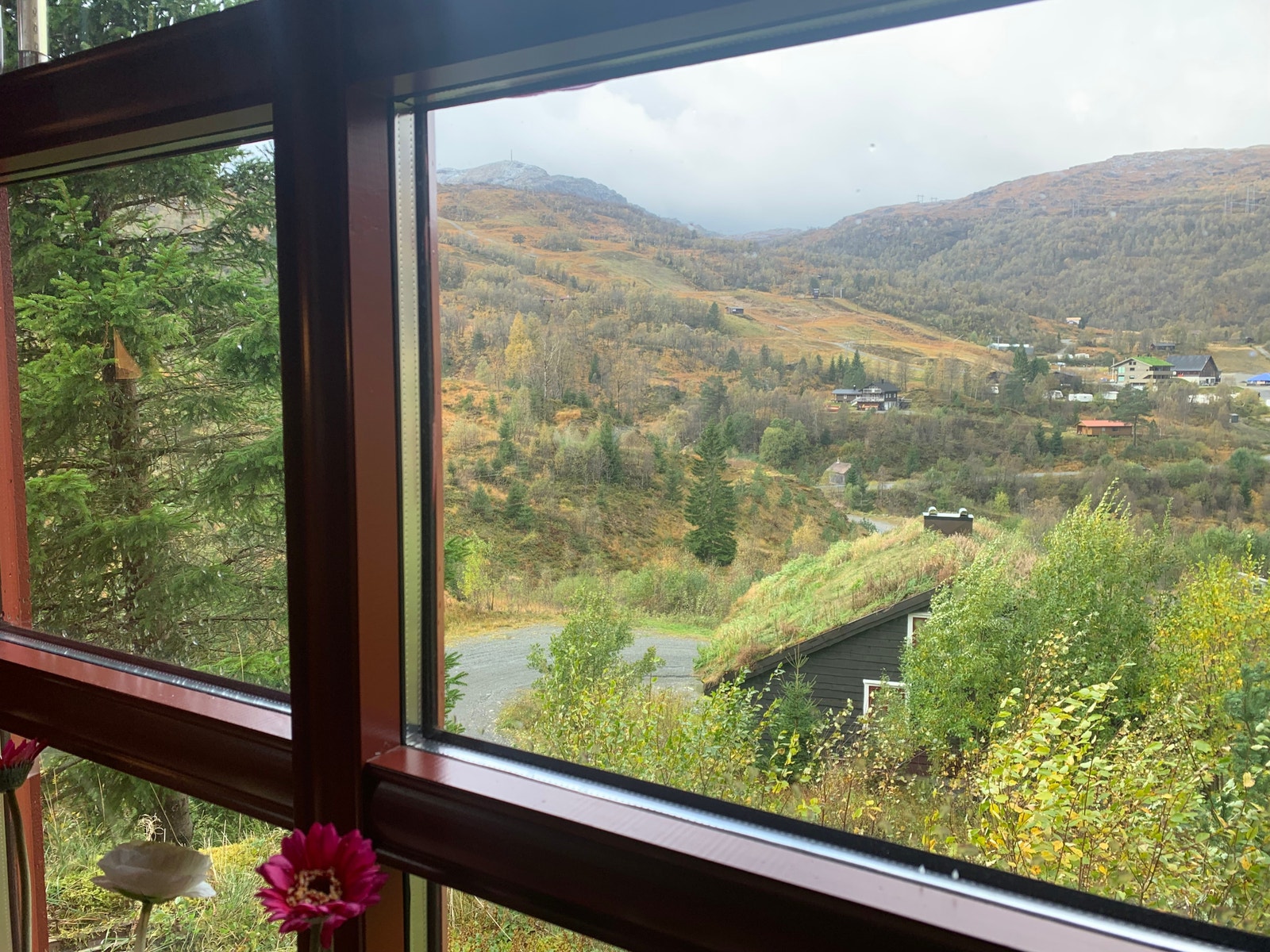 For å komme til trekket må en gå ut av hytten og gå på ski bort til skogsløypen og skli ned til elgen, for deretter å tråkke opp en liten bakke til barntrekket. Galleribilde