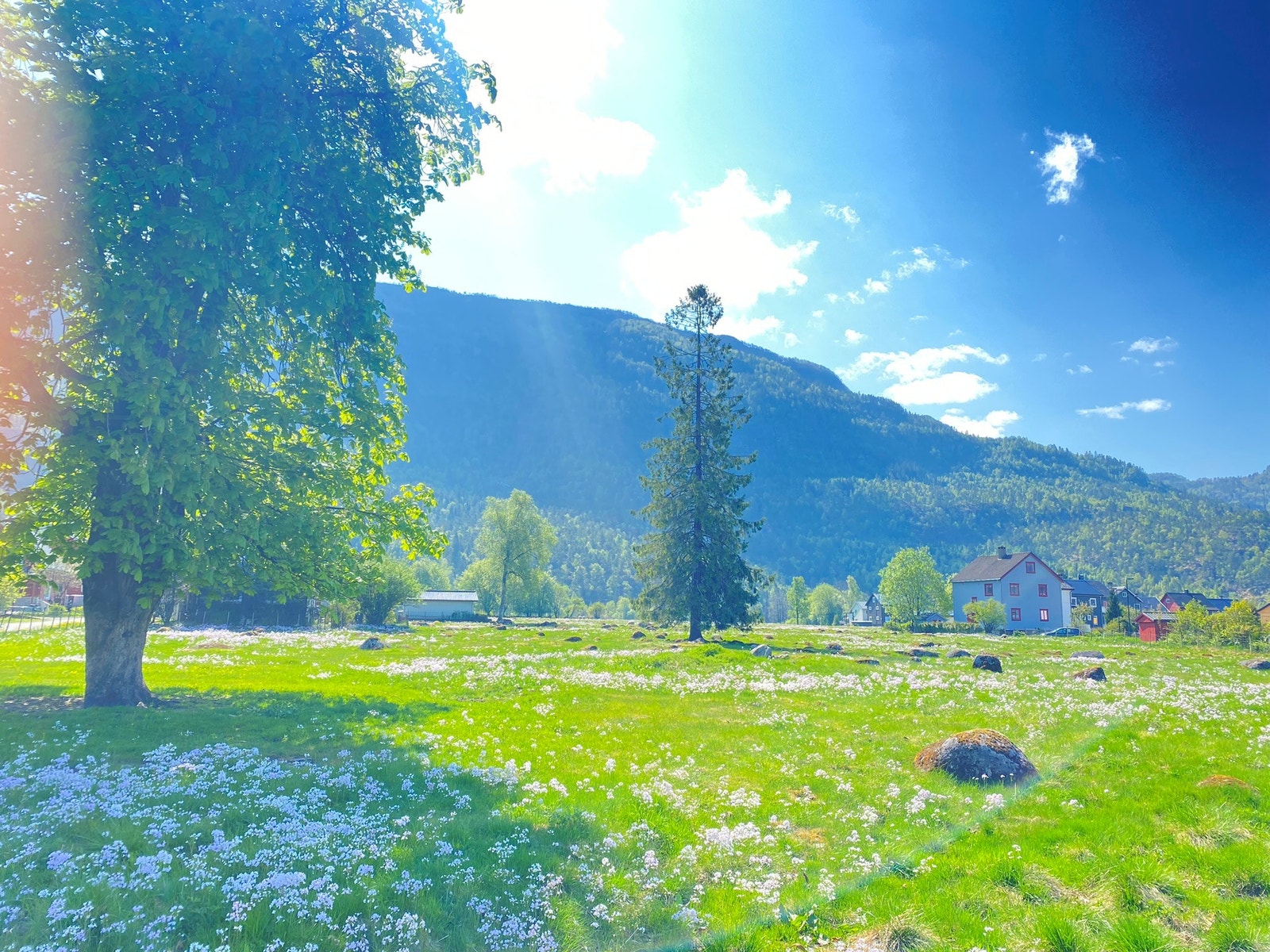 Sauda sentrum er vakker om sommeren:) Galleribilde