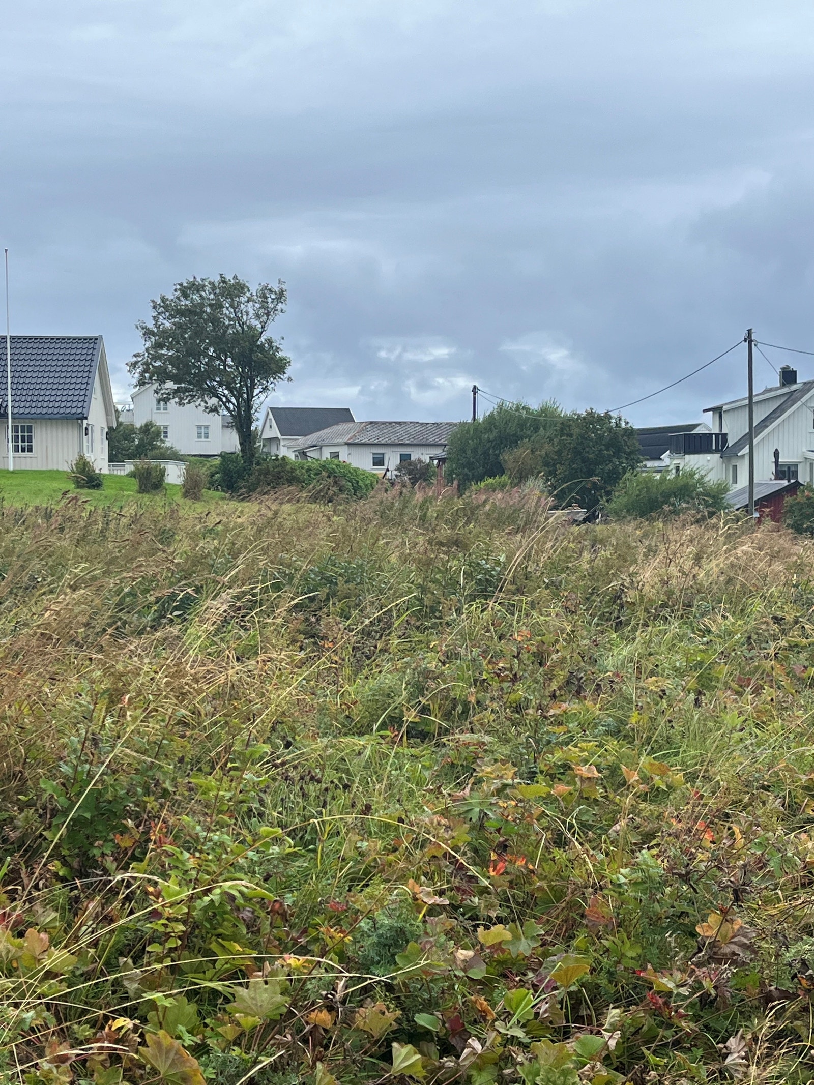 Utsikt nabo nord Galleribilde