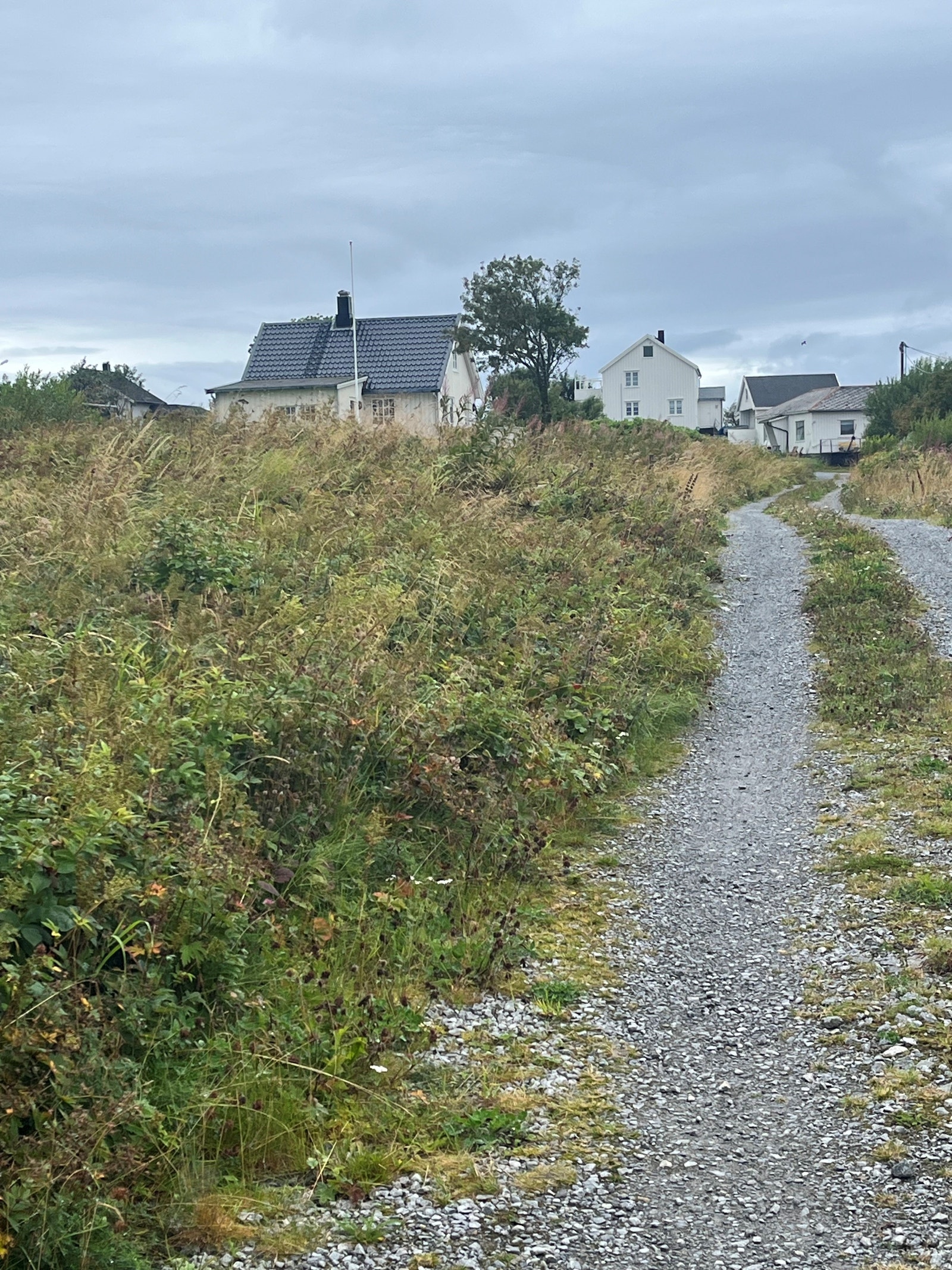 Nærhet til vei med veirett til tomta. Galleribilde