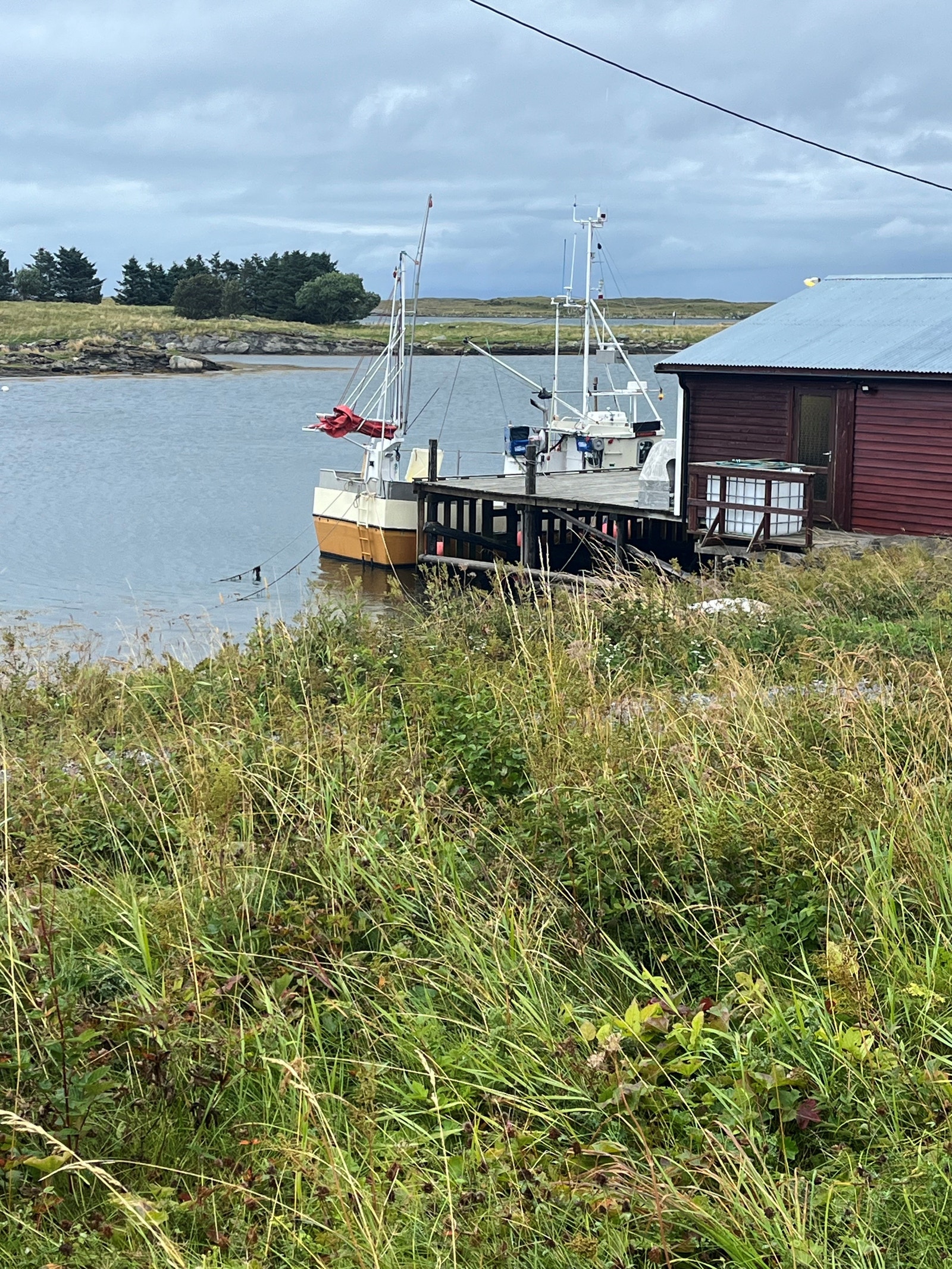 Utsikt fra tomt- nær havet Galleribilde