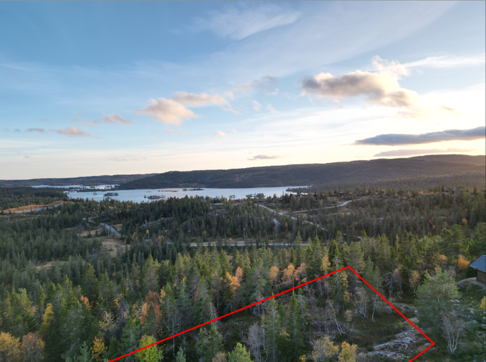 Fra nord (Tomtegrense er ikke nøyaktig) Galleribilde