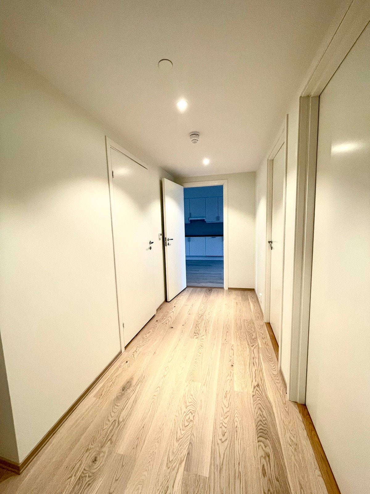 Romslig entrè Galleribilde