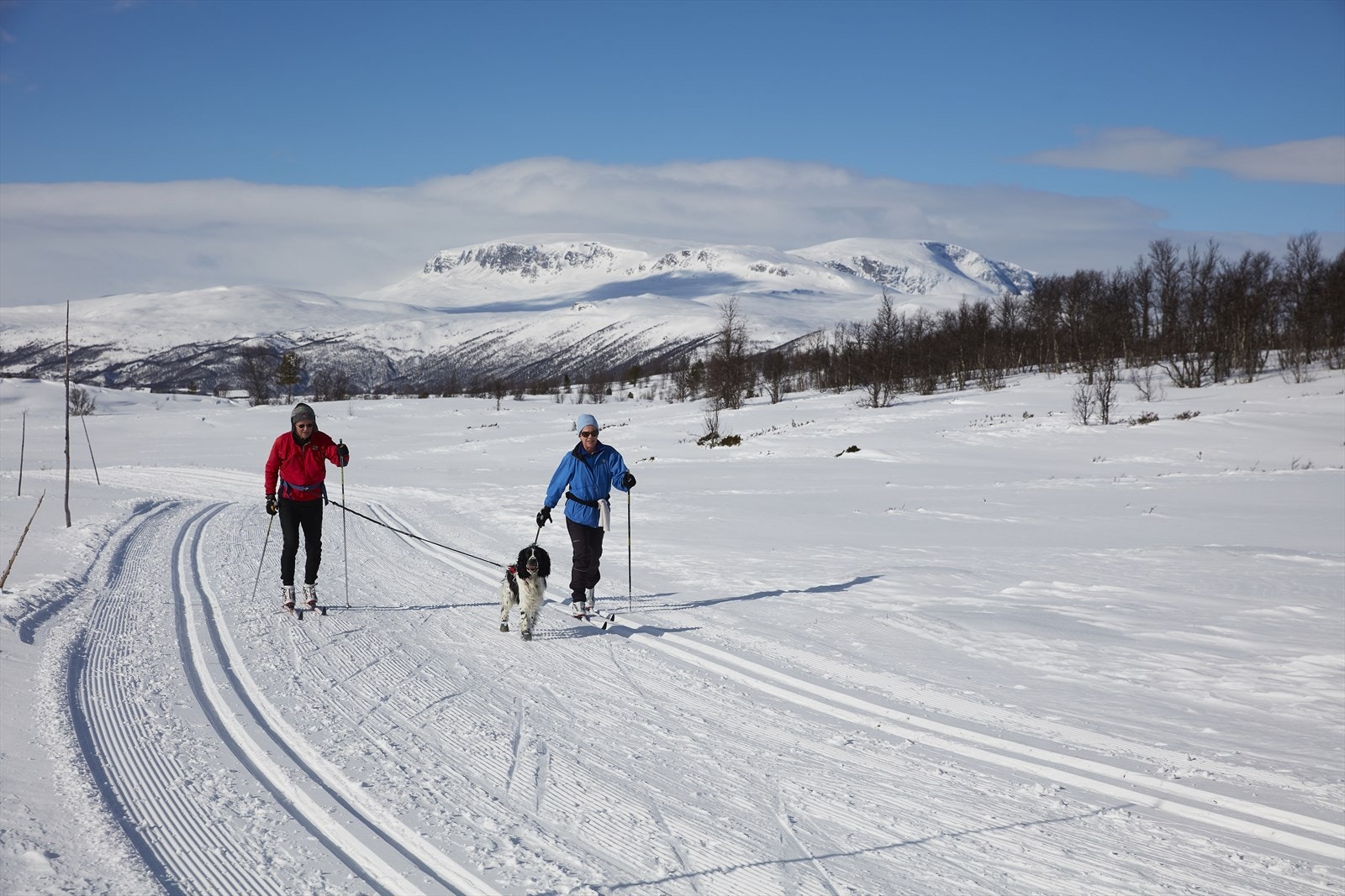 Foto Morten Knudsen, Foto MK AS Galleribilde