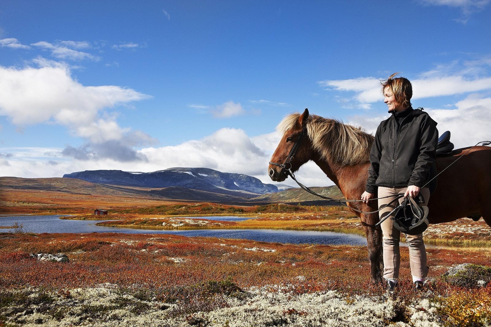 Foto Morten Knudsen, Foto MK AS Galleribilde