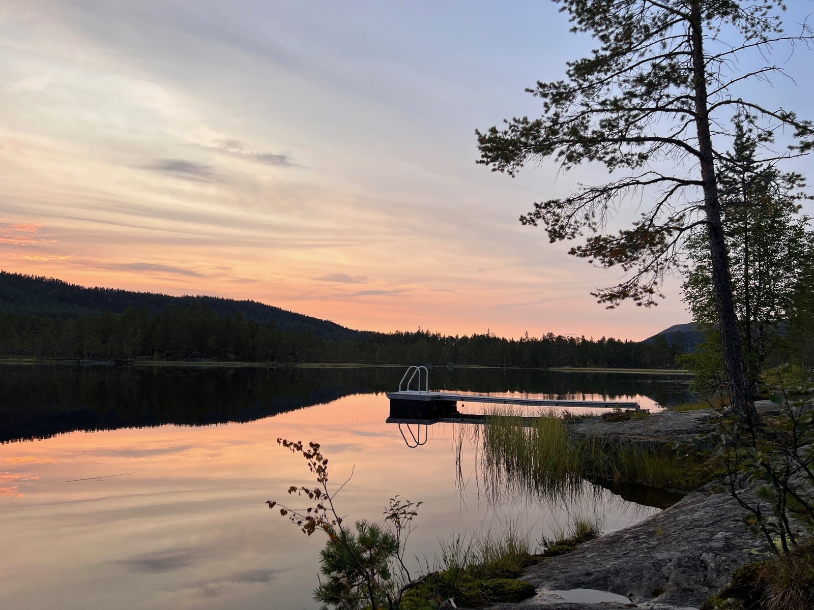 Vann like nord for Bergskog Galleribilde