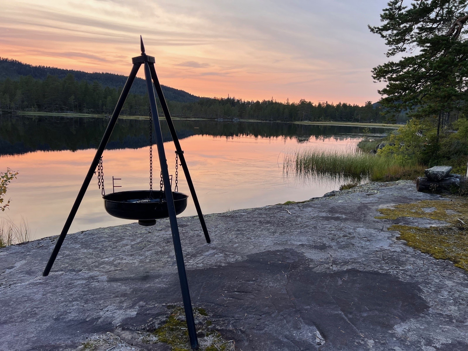 Vann like nord for Bergskog Galleribilde