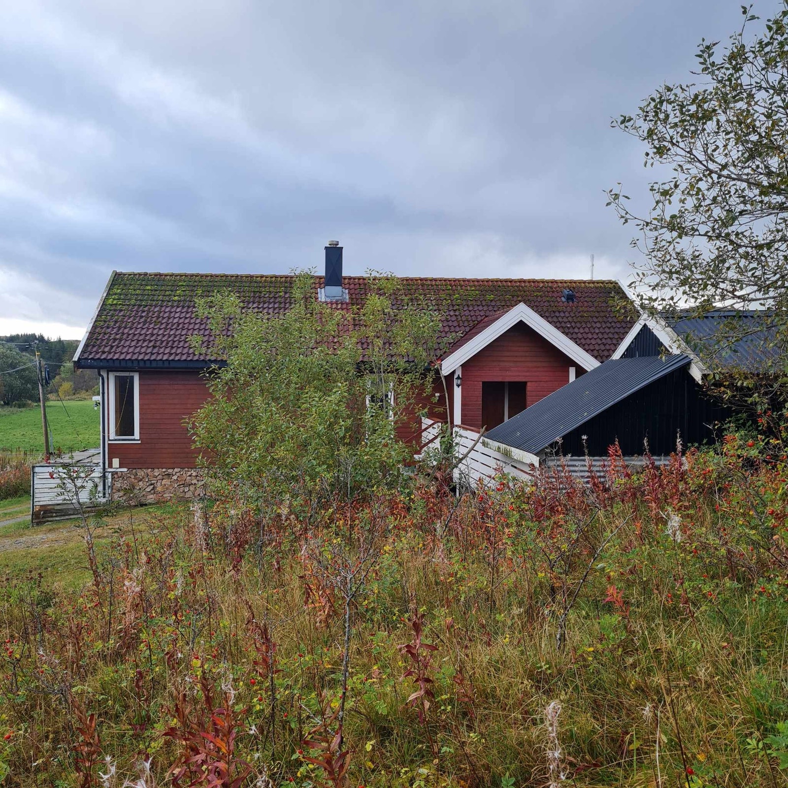 Fra nordre del av tomta, hovedinngang 1,etasje Galleribilde