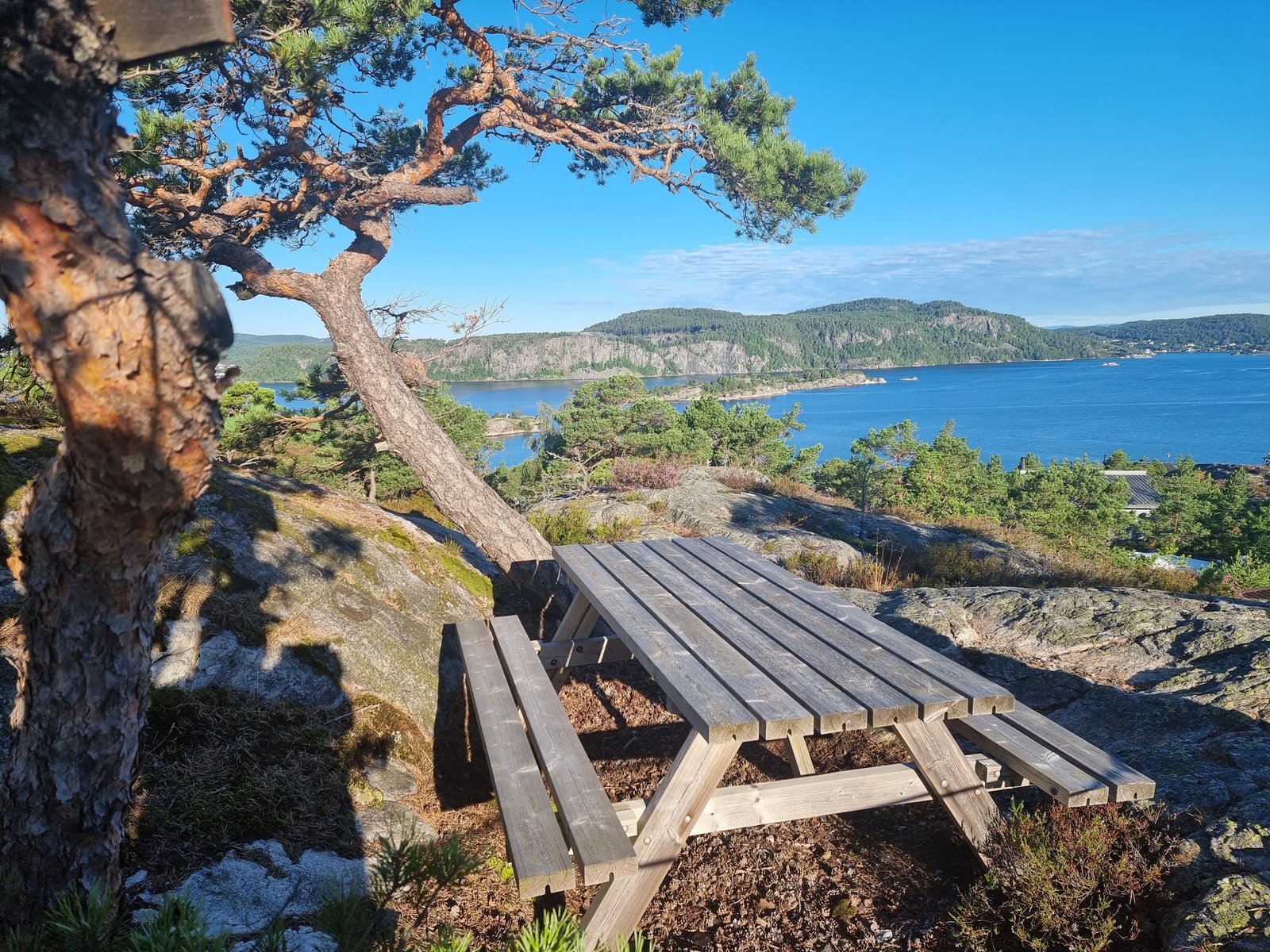 Fra vår egen utsikt. Galleribilde
