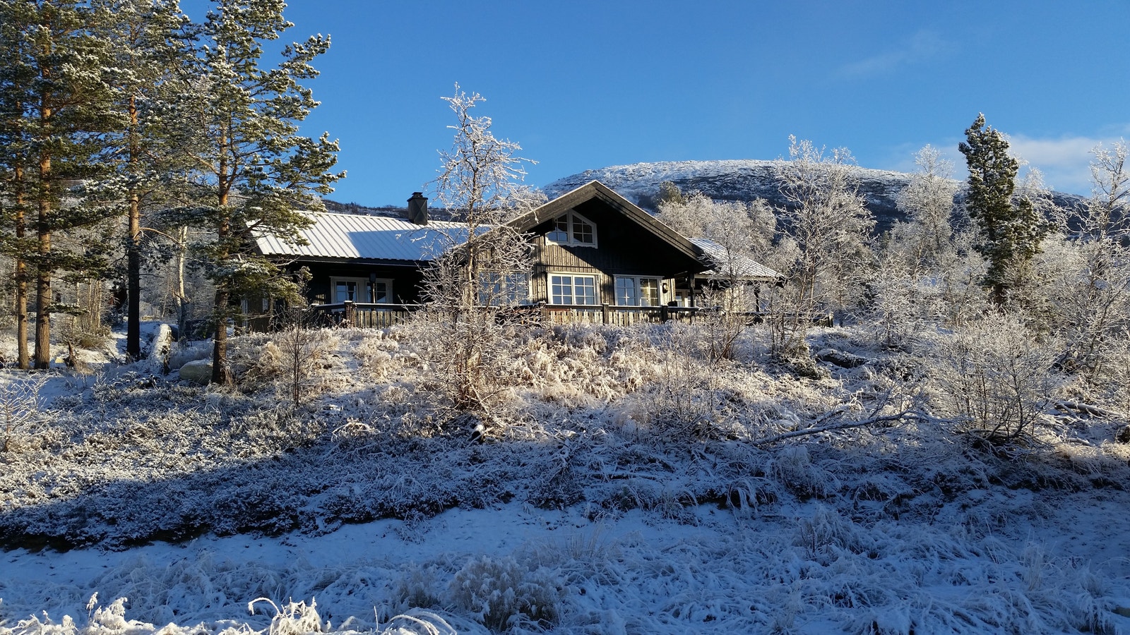 Flott og rolige omgivelser Galleribilde
