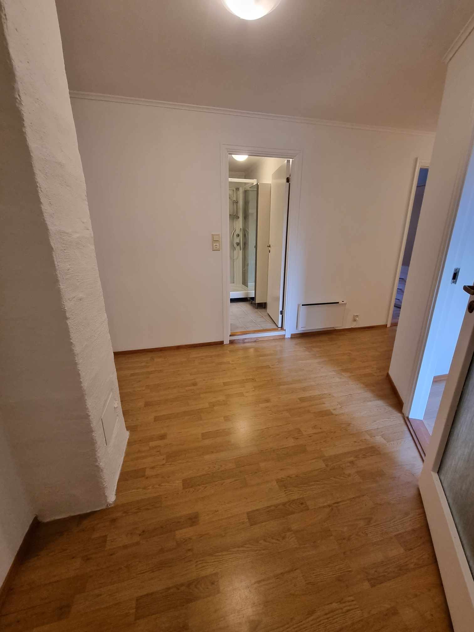 Mellomgang Galleribilde