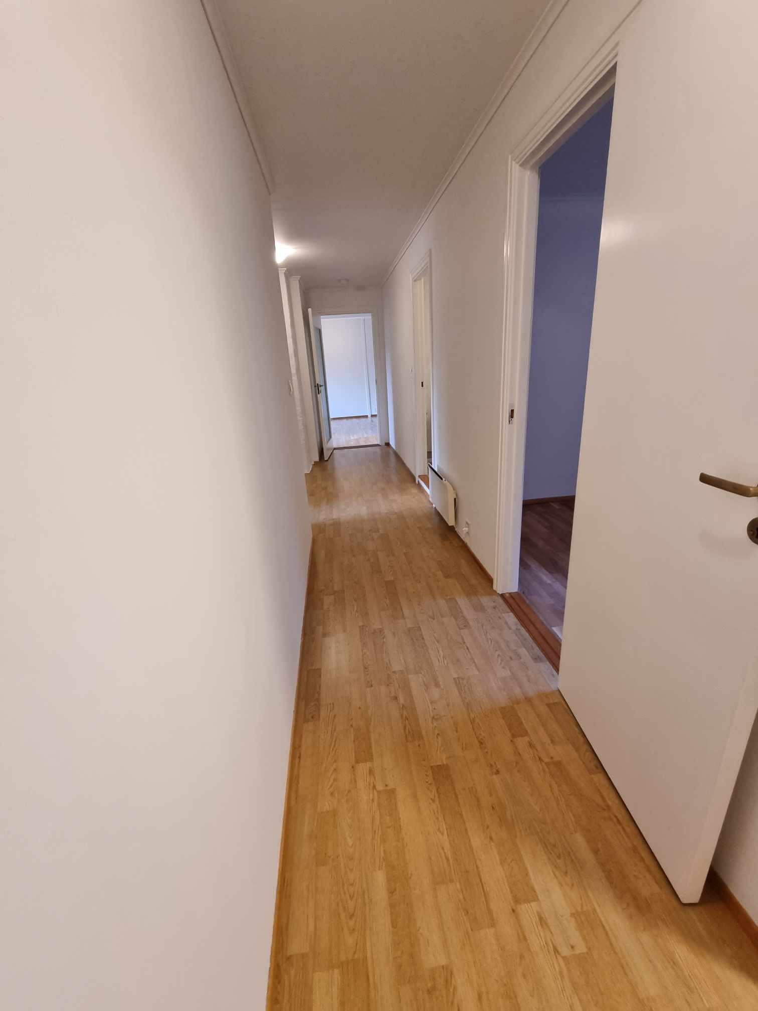 Mellomgang Galleribilde