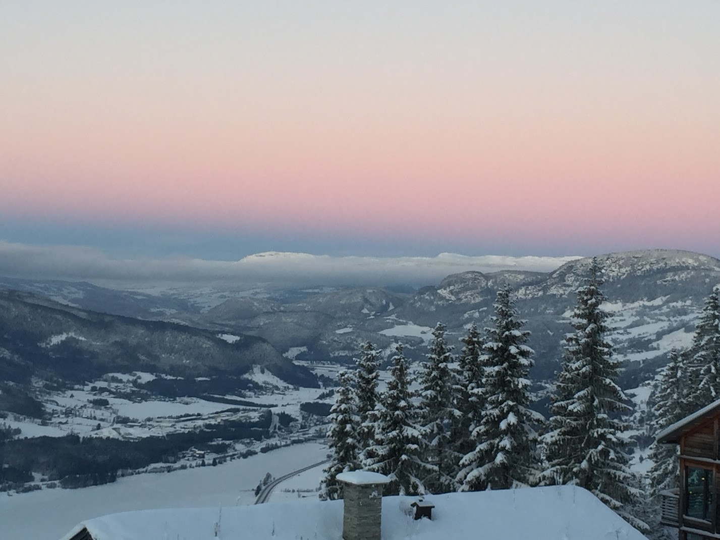 Utsikt en januardag Galleribilde
