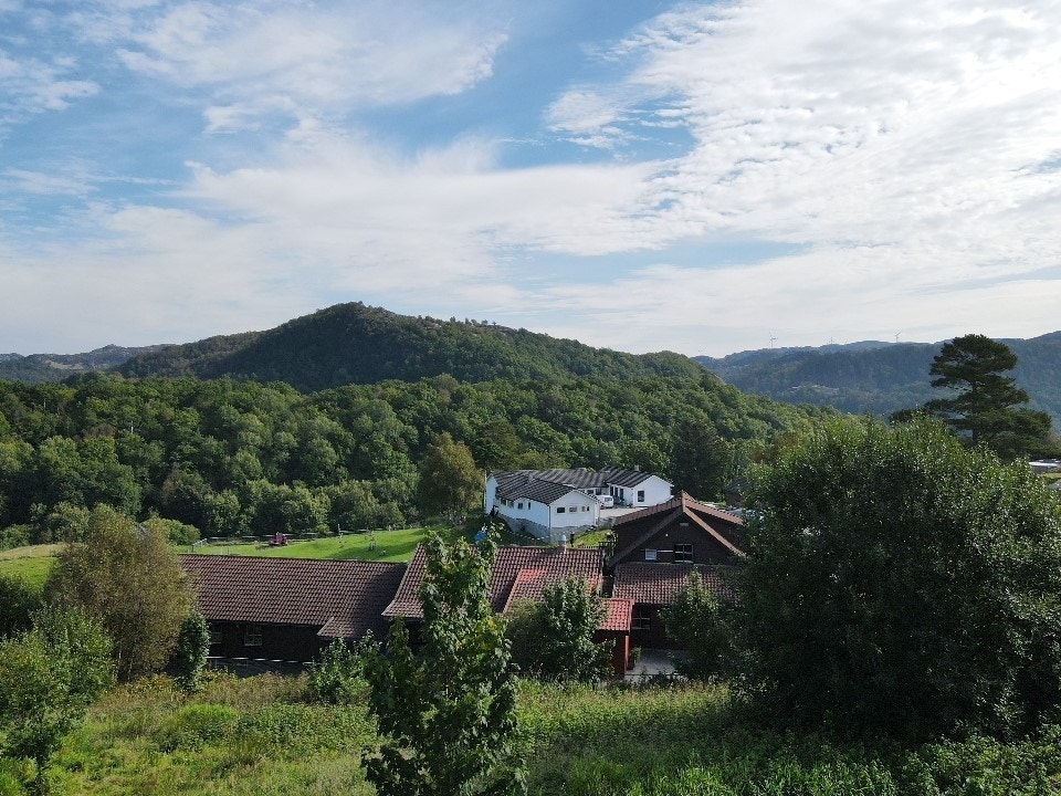 Litt av utsikten fra boligene Galleribilde