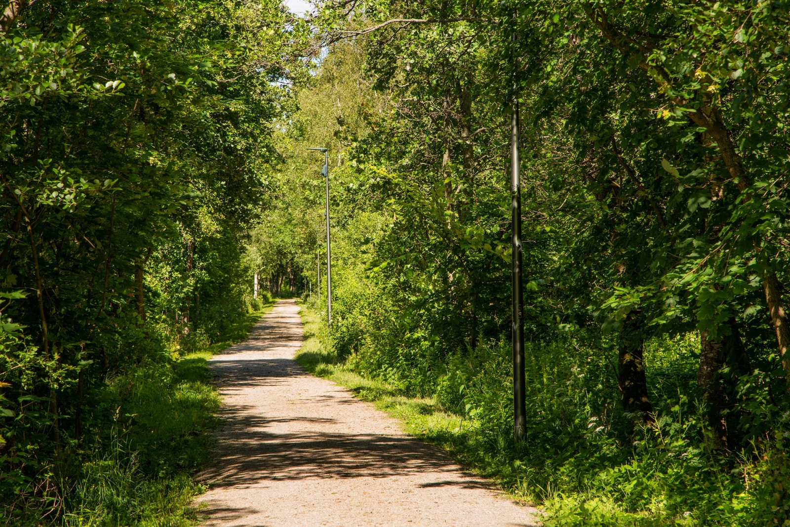 Glommastien går forbi Verksbyen mot Gamlebyen Galleribilde