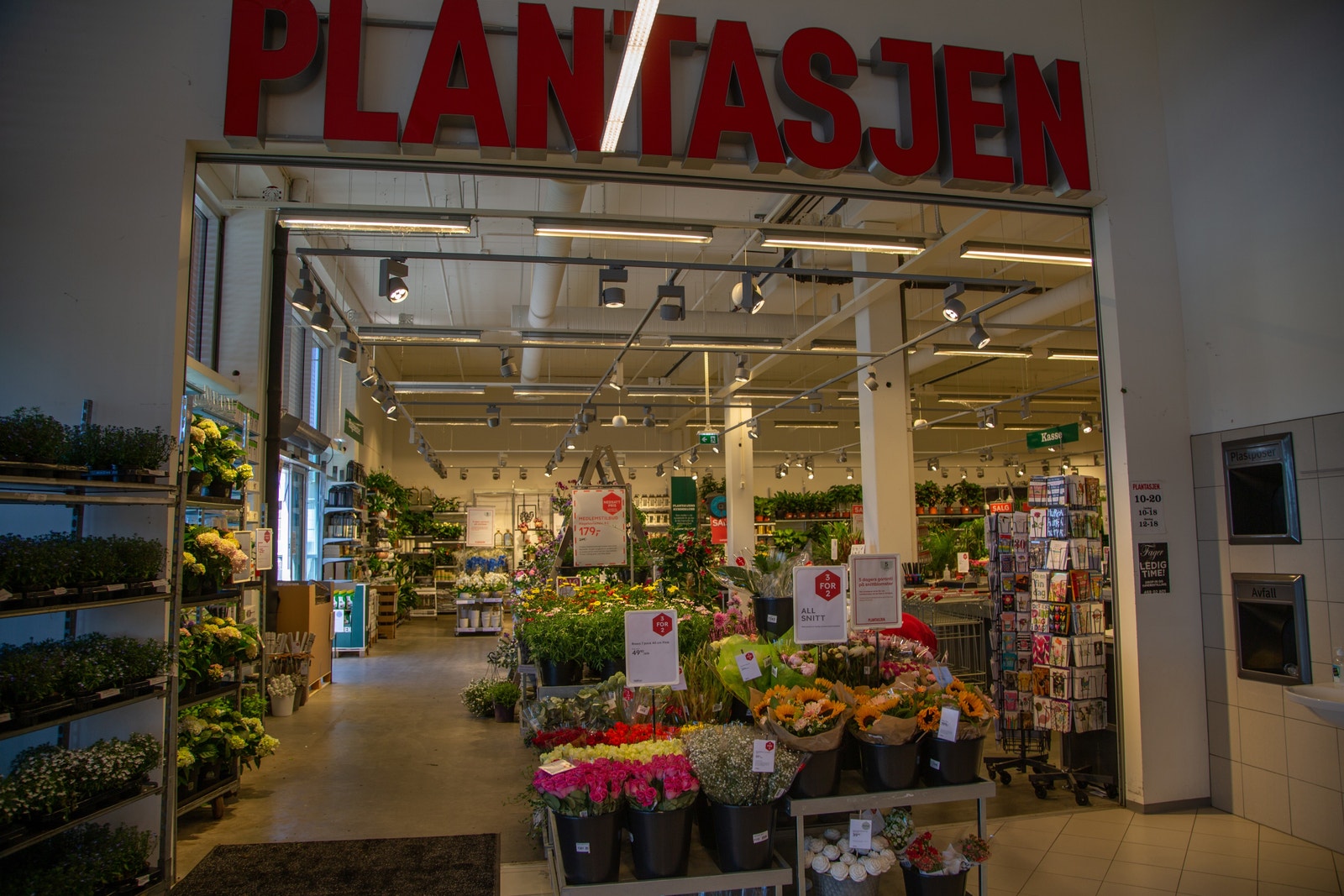 Plantasjen Galleribilde