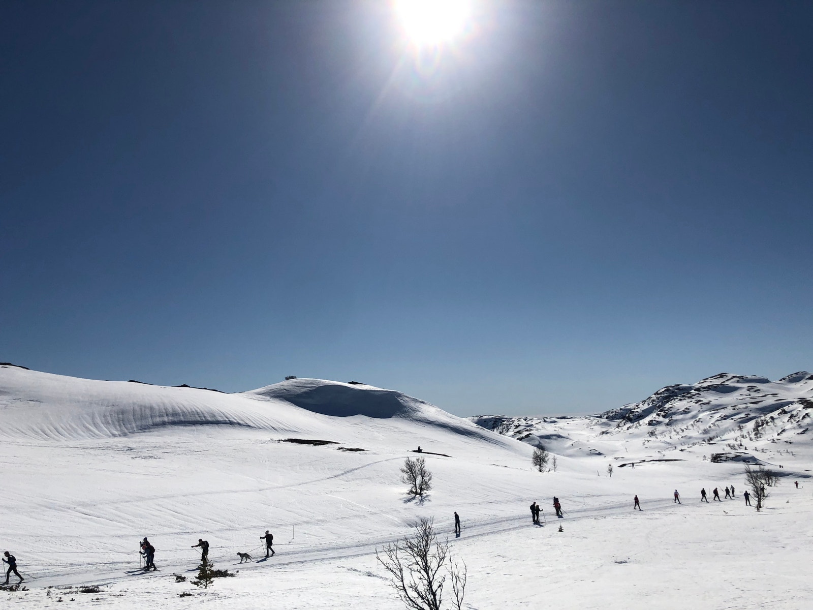 Silkeføre i Silkedalen Galleribilde