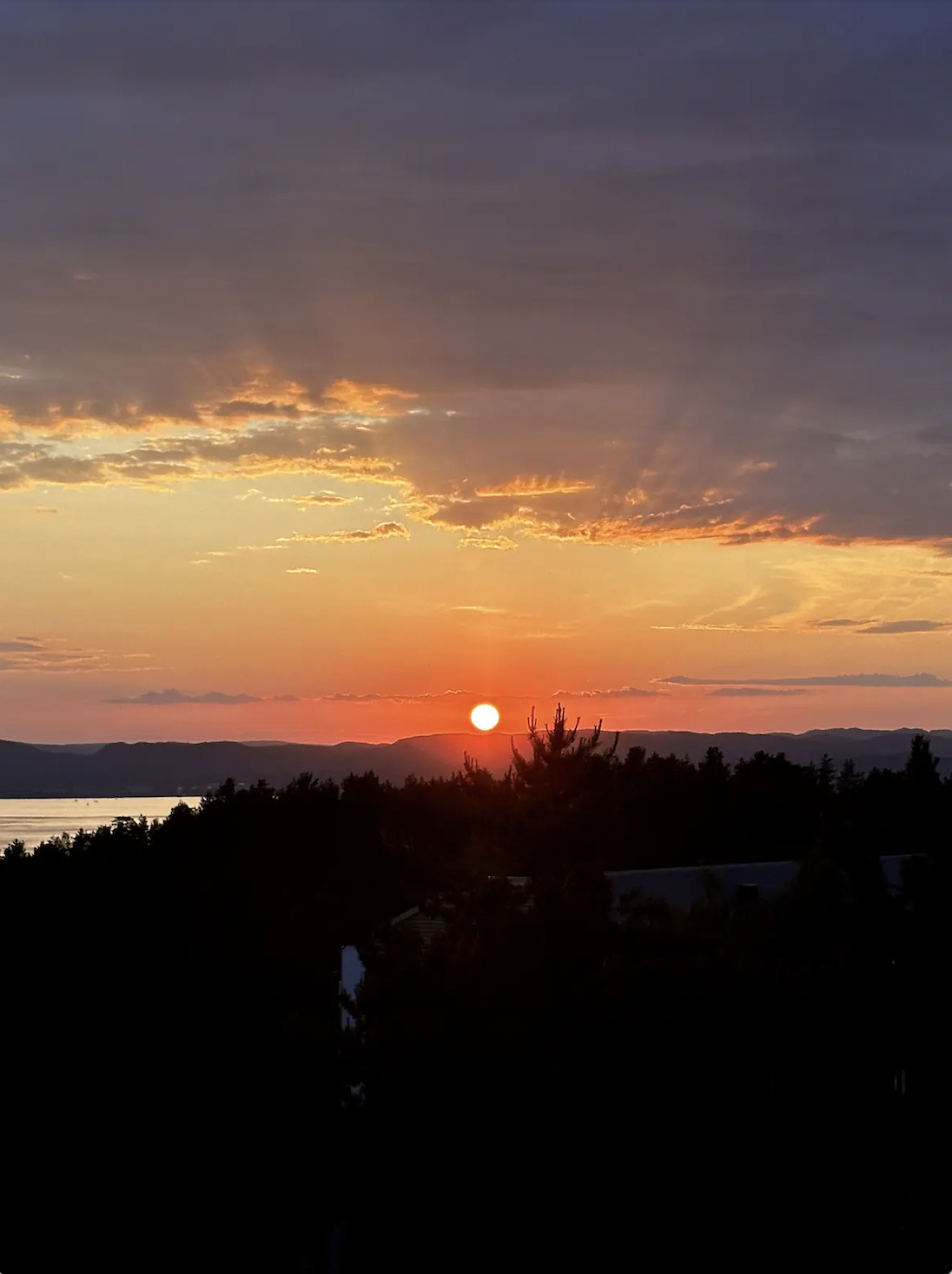 Utsikten fra soverommet juli 2024 /The lovely view from the bedroom (Oslofjorden) July 2024 Galleribilde