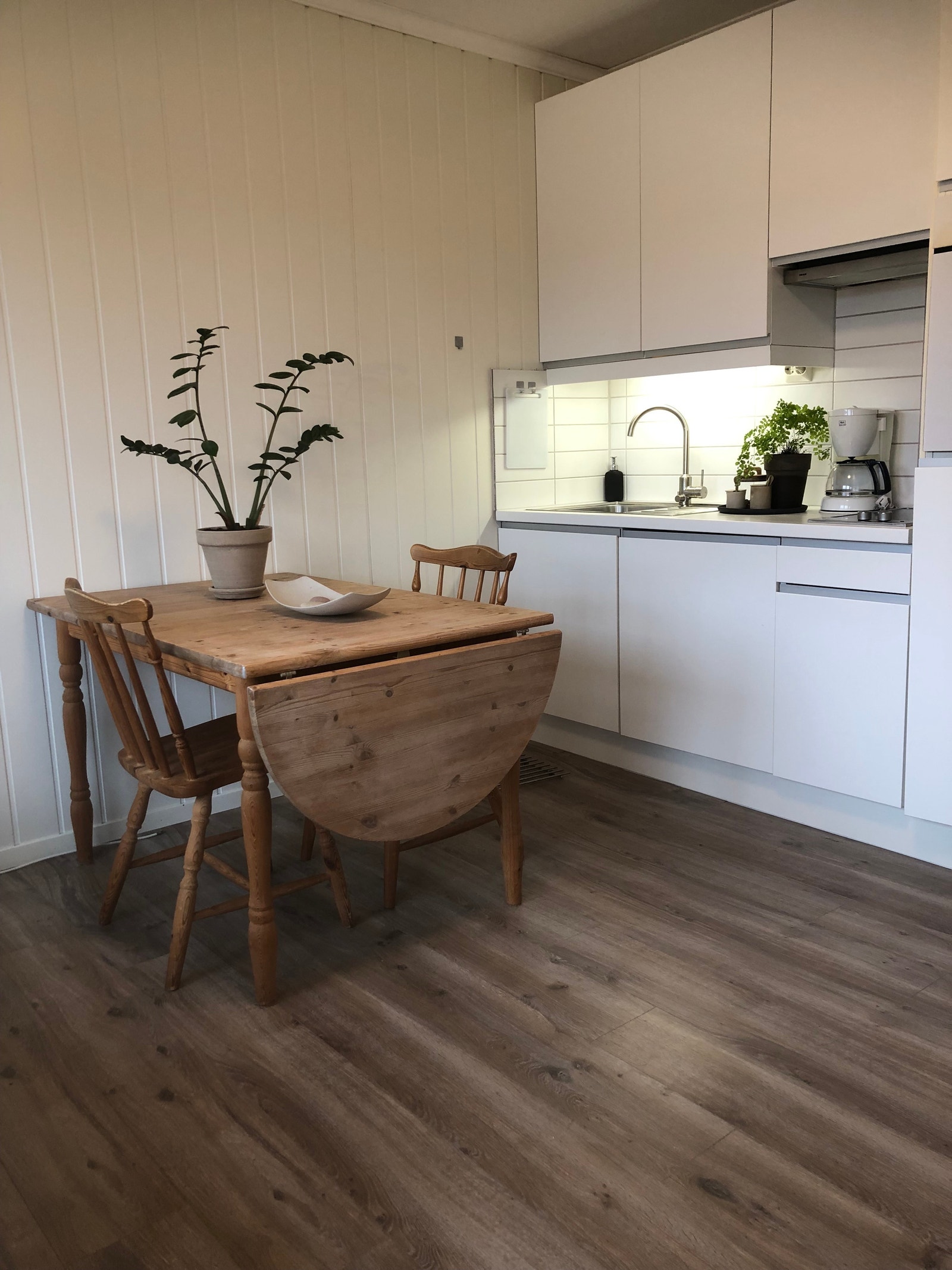 Hovedrom med kjøkkenkrok og soveplass. Galleribilde