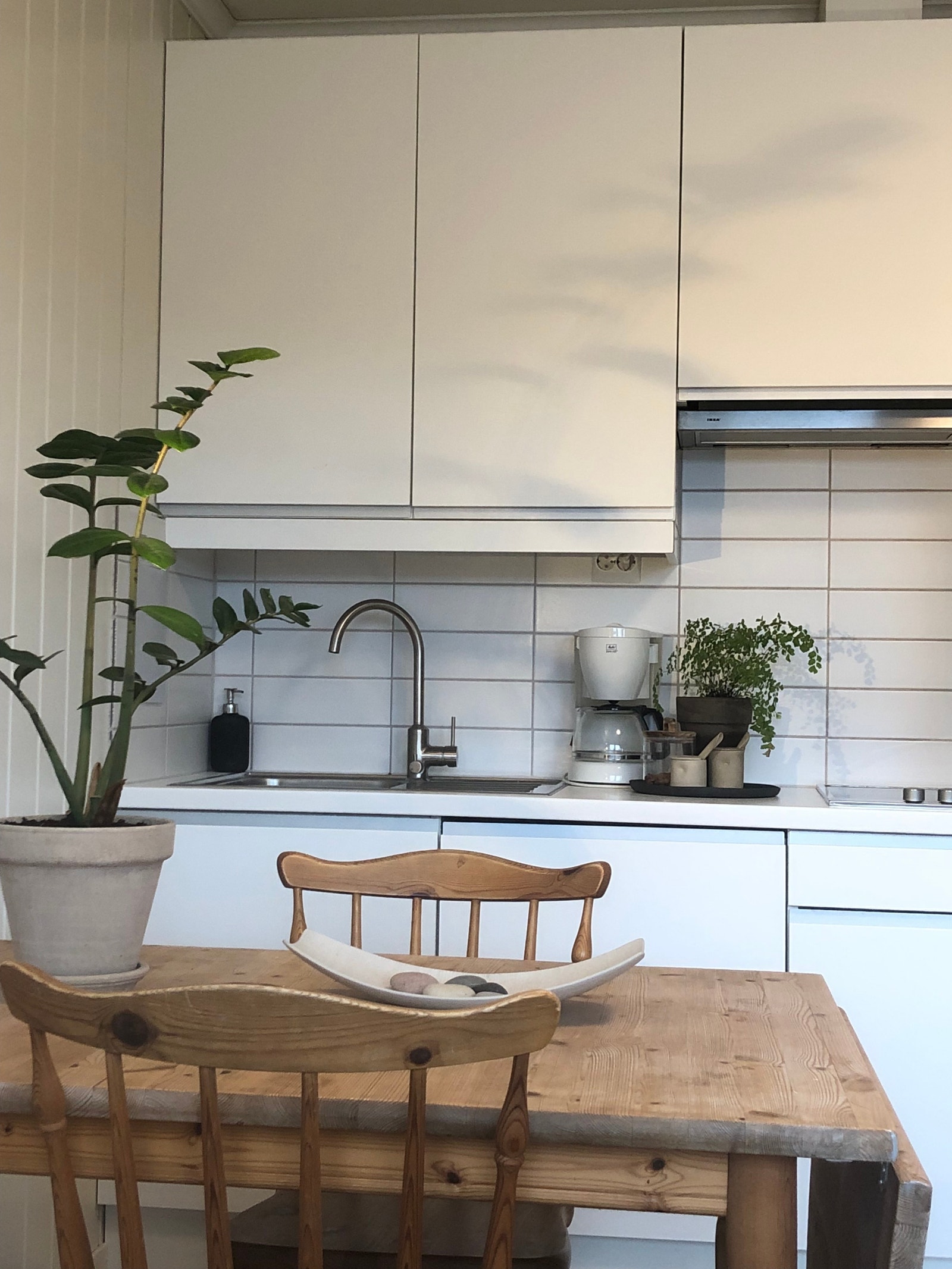 Lys og trivelig hybel. Hovedrom med spisebord, kjøkkenkrok og soveplass. Galleribilde