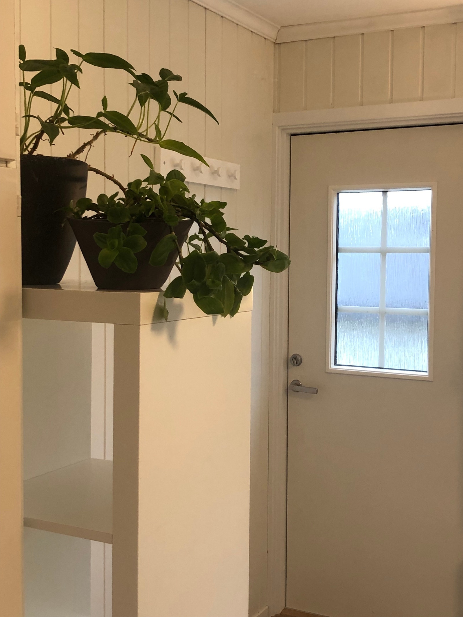Koselig hybel med egen inngang. Galleribilde