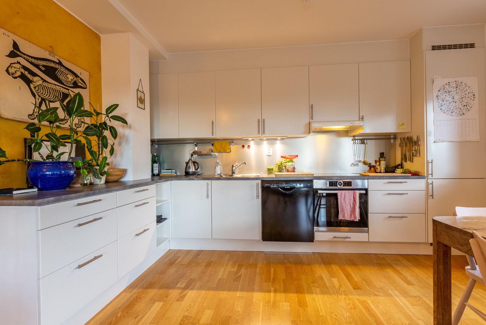 Kjøkken, med gode oppbevaringsmuligheter og nye hvitevarer. Galleribilde