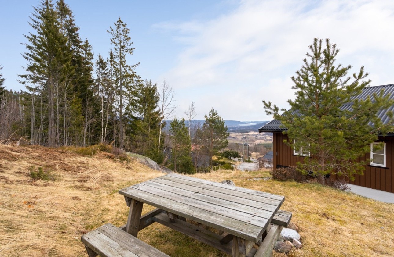 Fellesområdet. Galleribilde
