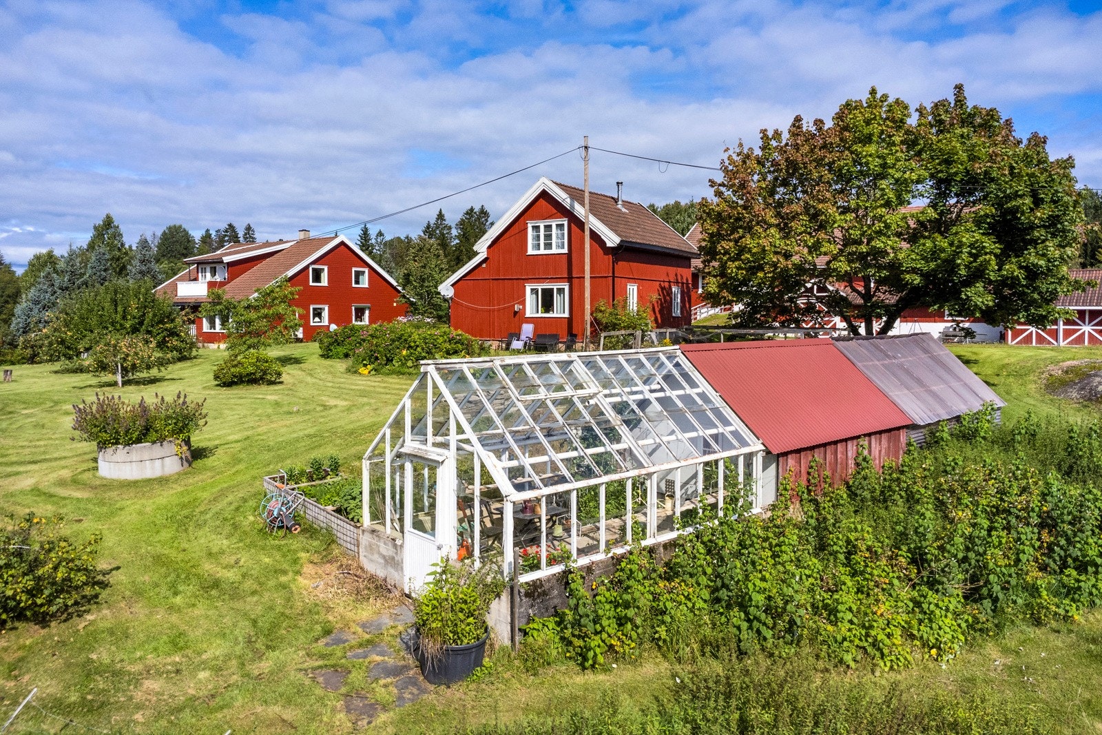 Drivhus Galleribilde
