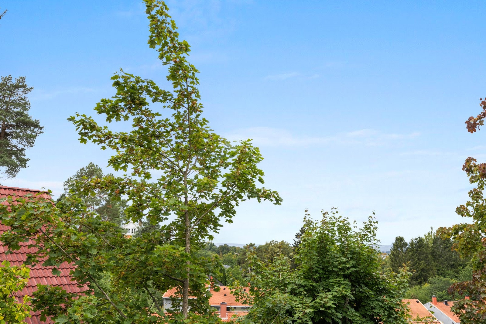 Utsyn soverom Galleribilde
