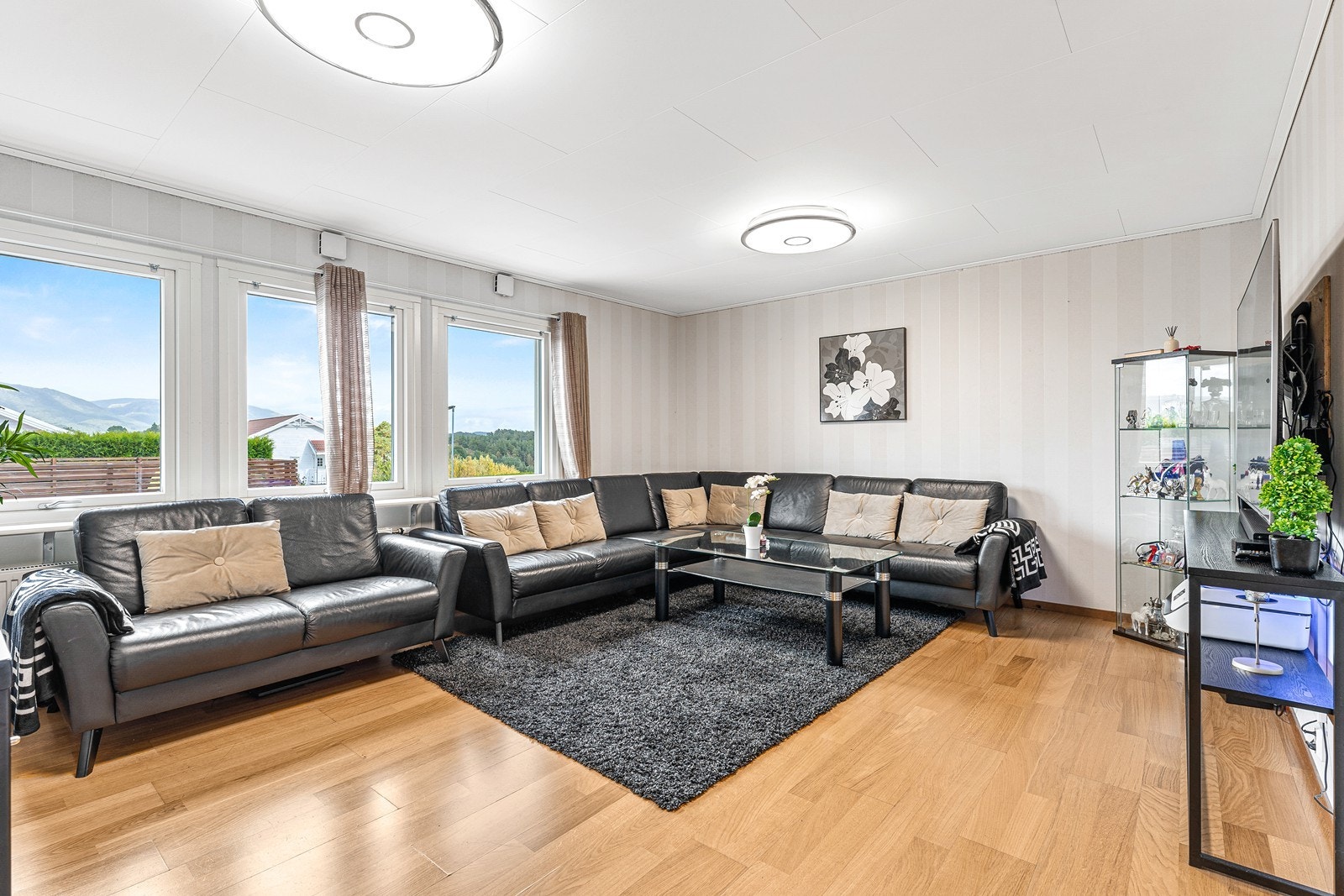 Eneboligen stod ferdig bygget i 2011. Galleribilde