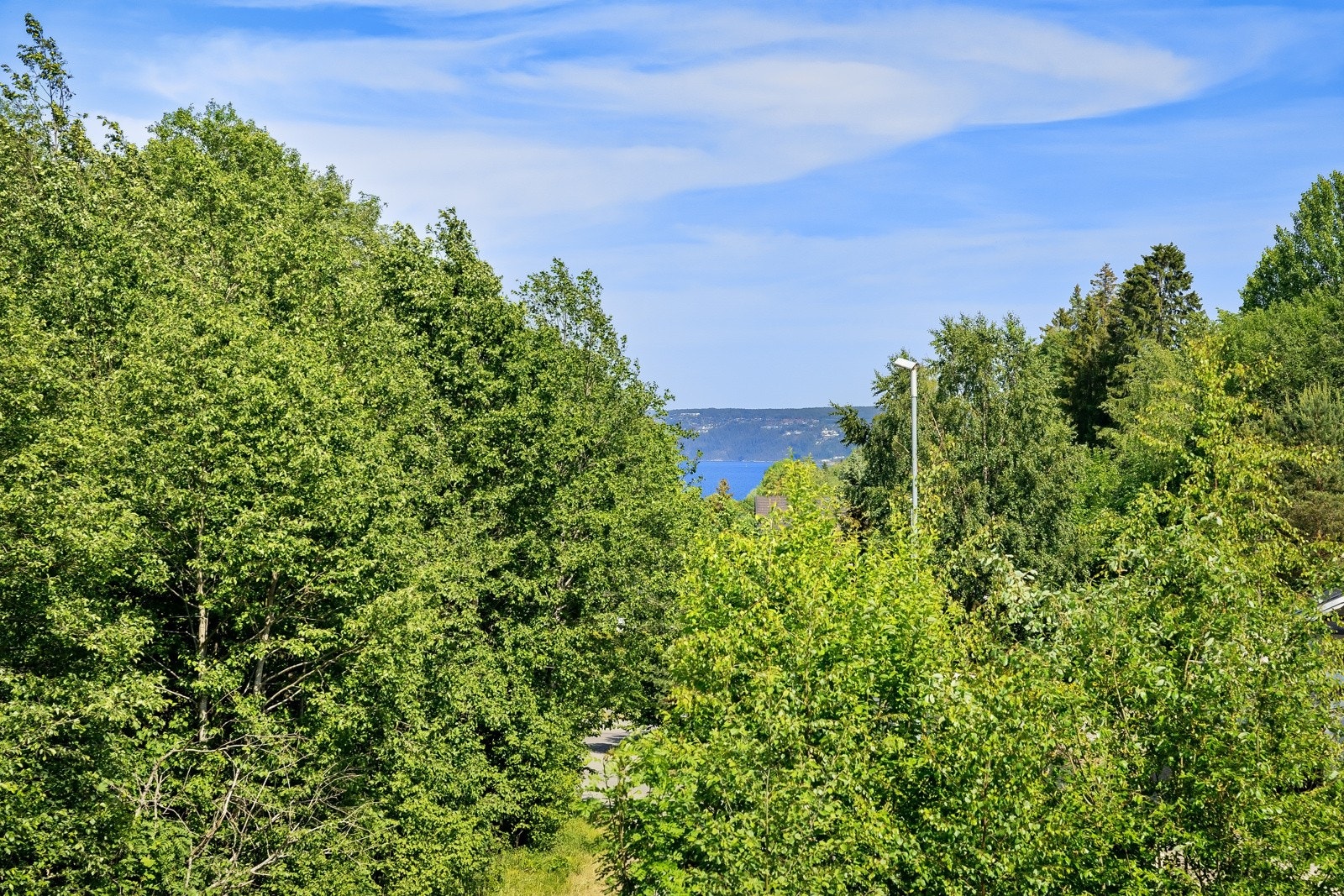Utsikten fra eiendommen Galleribilde