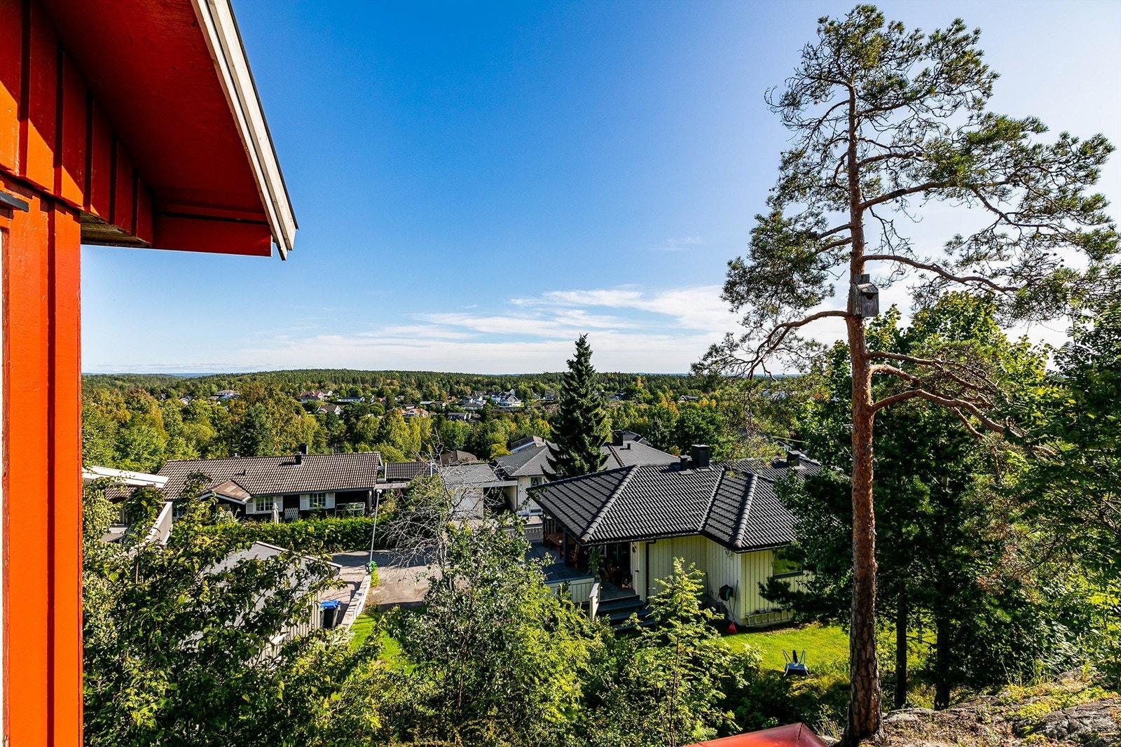 På terrassen sees langtrekkende utsikt til fylkets indre skoger. Galleribilde