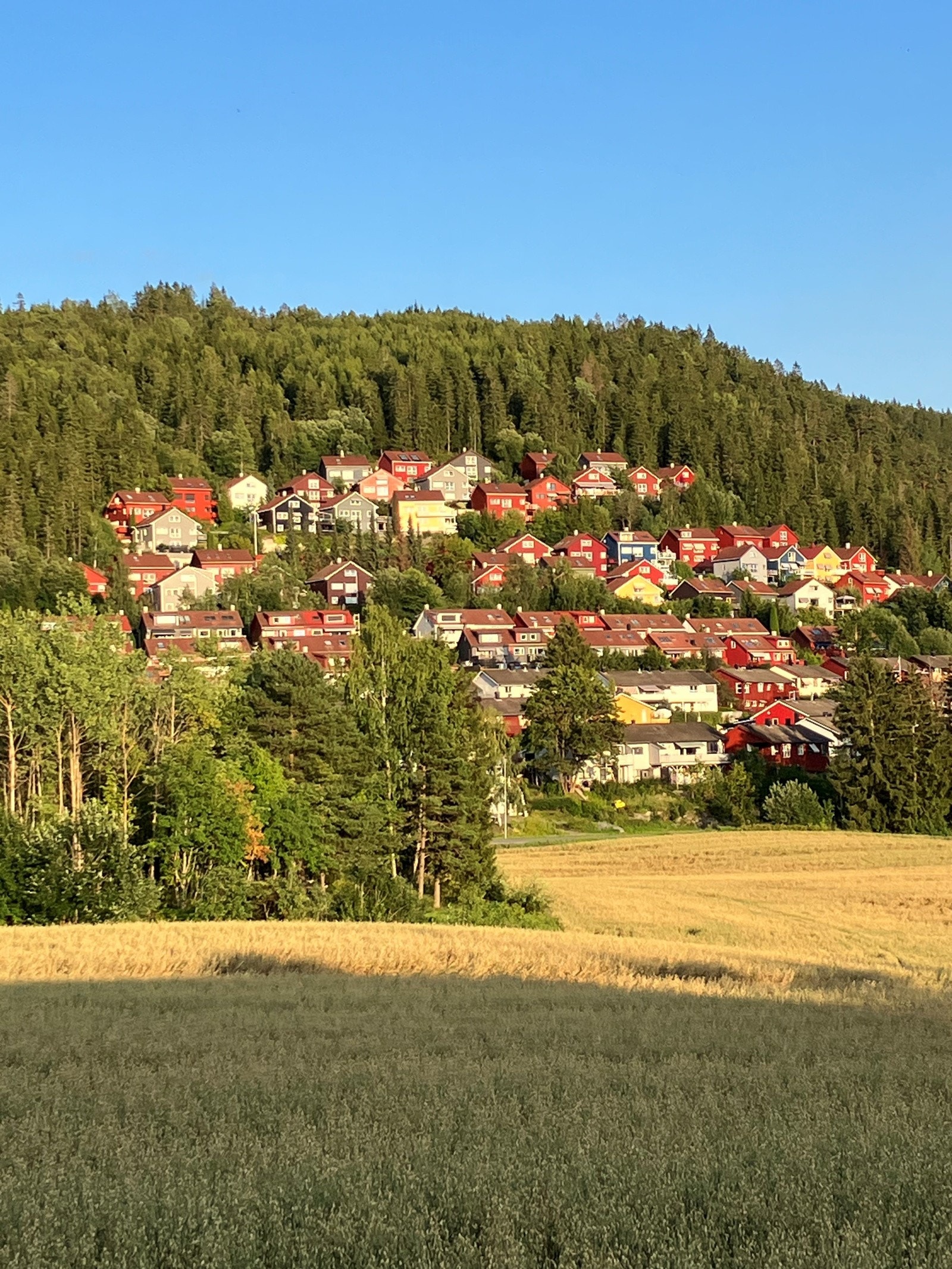 Boligfeltet i Linderudveien sett fra Helsetjordet. Rødt hus øverst, midt i bildet. Galleribilde